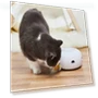 Thumbnail Electric Rotating Turntable Funny Cat Toy — Cat Playthings