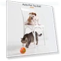 Thumbnail Intelligent Remote Control Pet Toy Luminous Ball for Dog Training — Balls, O1