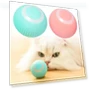 Automatic Rolling Interactive Pet Toy Ball — Automatic Launchers, kuanhong
