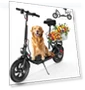 Thumbnail Electric Scooter with Seat — Electric Self-Balancing Scooters, SISIGAD