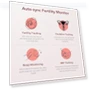 Thumbnail Ring for Fertility and Ovulation Monitor Tracking — Smart Jewelry, LOLLIPOP TECHNOLOGY (HANGZHOU) CO., LTD