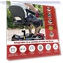 Thumbnail Foldable Electric Scooter for Seniors — Push Scooters, Hubbfq