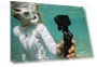 Thumbnail Waterproof Action Camera — Wearable Cameras, GoPro