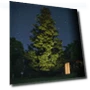 Thumbnail LED Colorscaping Smart App Controllable Landscape Lighting — Outdoor Security & Flood Lighting, WAC Lighting