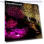 Thumbnail LED Colorscaping Smart App Controllable Landscape Lighting — Outdoor Security & Flood Lighting, WAC Lighting