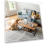 Thumbnail Air Purifier for Home Pets & Bedroom — Activated Carbon Air Purifiers, Provirtec