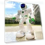 Thumbnail Large Robot Toy for Kids — Interactive Figures & Robots, Ruko