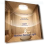 Thumbnail Rechargeable Motion Sensor Ceiling Light — Garden Illumination, KNHUOS
