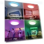 Thumbnail RGB Smart Ceiling Light — Overhead Lighting, HENTAG