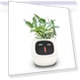 Smart Plant Pot — Artificial Plants, SAKURA BLOSSOM ITEMS