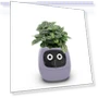 Smart Care Smart LED — Artificial Plants, Premium SPEED