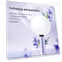 Smart Light Makeup Mirror — Handheld, AMIRO