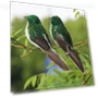 Feather Bird Simulation Garden Decoration — Garden Stakes, Cozy Cottage-Relax