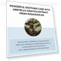 Thumbnail Madagascar Centella Hyalu-Cica Moisture Cream — Creams & Moisturizers, SKIN1004