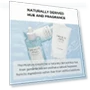 Thumbnail Madagascar Centella Hyalu-Cica Moisture Cream — Creams & Moisturizers, SKIN1004