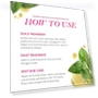 Thumbnail Rosemary Mint Scalp & Hair Strengthening Oil — Hair & Scalp Care, Mielle Organics
