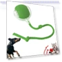 Electric Rolling Ball for Pets — Automatic Launchers, Longlish