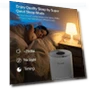 Thumbnail Large Room Air Purifier with Air Quality Sensor — Activated Carbon Air Purifiers, ECOWELL