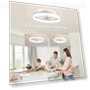 Thumbnail Smart Ceiling Fan with Lights — Ceiling Fan Wall Controls, LUDOMIDE