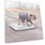 Smart Scale 2 — Weight Management Tools, Mijia