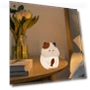 Silicone Night Light for Cats — Night Lights, Closet of Beauty