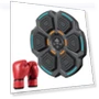 Smart Musical Boxing Trainer — Boxing Training Gear, Ausway1