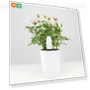 Smart Monitor — Pregnancy Health Monitors, Xiaomi