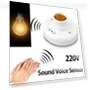 Voice Controlled LED Lamp Socket Switch — Smart Home Modules, Linfan