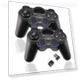 Wireless Gamepad Pair — Game Controllers, PLAYzh
