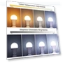 Thumbnail LED Remote Control Light Bulbs — LED, ORALUCE