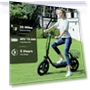 Thumbnail Peak 1200W Electric Scooter with Seat — Push Scooters, Caroma