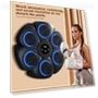 Smart Musical Boxing Trainer — Boxing Training Gear, Storage Space MALL