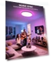 Thumbnail Flush Mount Ceiling Light — Overhead Lighting