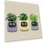 Intelligent Indoor Plant Pot — Garden Planters, Darling Home