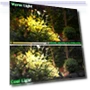Thumbnail Smart RGB Landscape Lighting Kit — Outdoor Light Projectors, iYogaled