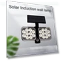 Solar Power Sensor Light — Garden Illumination, Blackcurrant