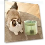 Electric Cat Water Fountain — Pet Hydration Solutions, Fujeenn