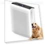 Thumbnail Air Purifier for Large Rooms — Activated Carbon Air Purifiers, AROEVE