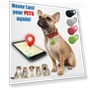 Mini Pet Tracker — Location Tracking Devices, JOHO - CarGear