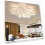 Thumbnail Smart Ceiling Light Fixture — Overhead Lighting, SKY ANGLE
