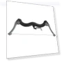 AR Smart Bow for Kids — Interactive Learning Devices, ZuiyouSports1