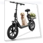 Thumbnail Electric Scooter — Electric Self-Balancing Scooters, Roinside