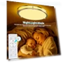 Thumbnail Flush Mount Ceiling Lights with Remote — Overhead Lighting, libtit