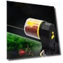 Automatic Fish Feeder — Feeders, Boyuan