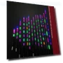 Ultra-sensitive LED Smart Fishing Float for Night Fishing — Bite Indicators, YNliujia