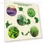 Thumbnail Aromatherapy Essential Oils Set — Scents, MISIJI