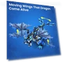 Thumbnail Dragon Building Kit with Remote Control — Construction Kits, Sillbird
