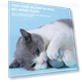 Interactive Smart Toy for Cats — Cat Playthings, Pet park