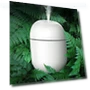 Thumbnail Mini Humidifier with 7 Color LED — Air Moisturizers, HOTFFISH