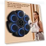 Smart Musical Boxing Trainer — Boxing Training Gear, Mind Garden